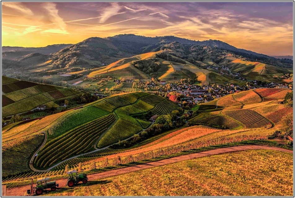 농업 경영 계획, 농지 원부 작성 완벽 가이드